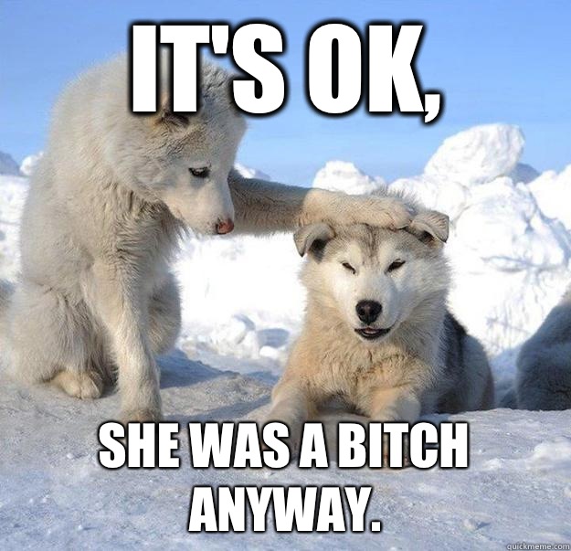 It's ok,  She was a bitch anyway. - It's ok,  She was a bitch anyway.  Caring Husky