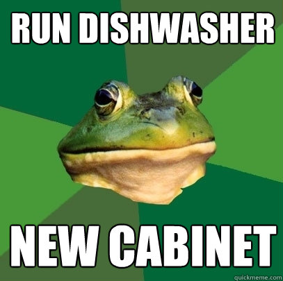 run dishwasher new cabinet  Foul Bachelor Frog