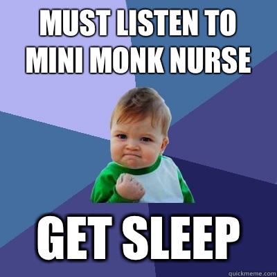 Must listen to mini monk nurse Get sleep   Success Kid
