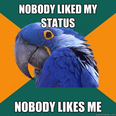 Nobody liked my status nobody likes me  Paranoid Parrot