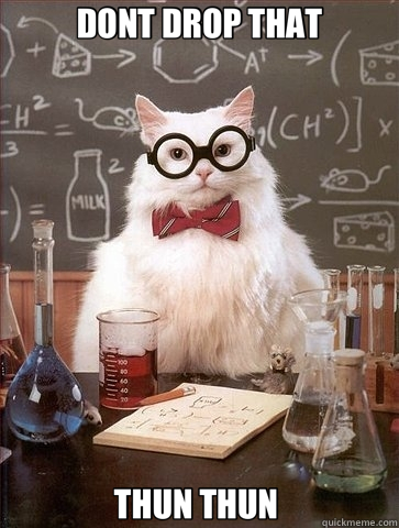 DONT DROP THAT THUN THUN   Chemistry Cat