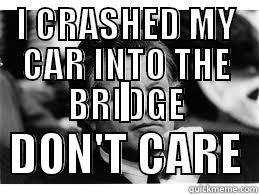 I CRASHED MY CAR INTO THE BRIDGE I DON'T CARE Misc