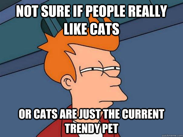 Not sure if people really like cats Or cats are just the current trendy pet  Futurama Fry