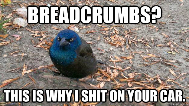 Breadcrumbs? This is why I shit on your car. - Breadcrumbs? This is why I shit on your car.  Angry Bird