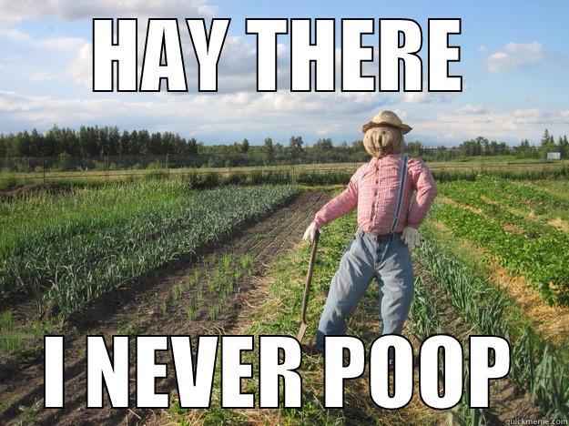 hay there, I never poop - HAY THERE I NEVER POOP Scarecrow