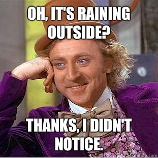 Oh, it's raining outside? Thanks, I didn't notice.   Condescending Wonka