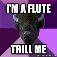 i'm a flute trill me  Band Buffalo