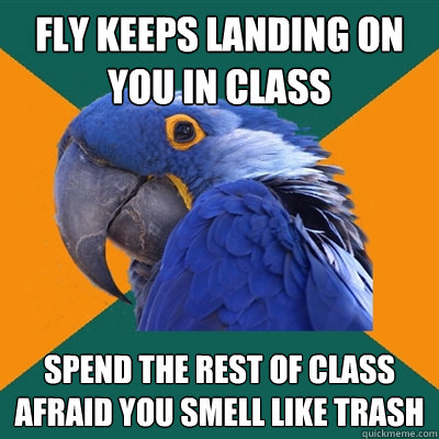Fly keeps landing on you in class spend the rest of class afraid you smell like trash  Paranoid Parrot