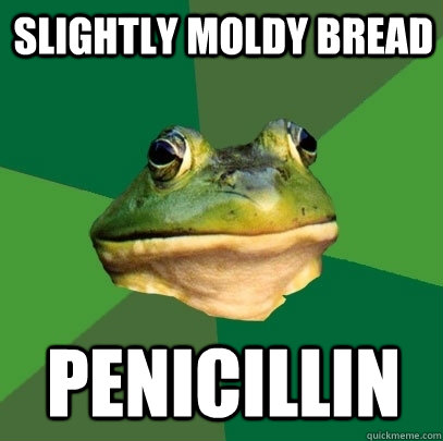 slightly moldy bread penicillin  Foul Bachelor Frog