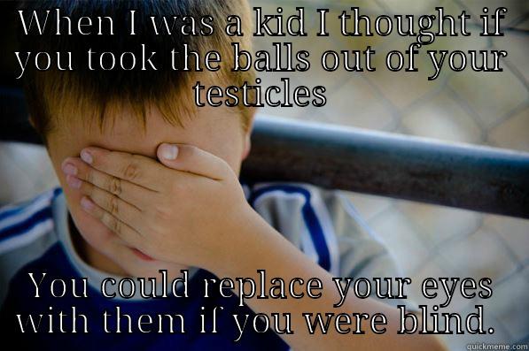 WHEN I WAS A KID I THOUGHT IF YOU TOOK THE BALLS OUT OF YOUR TESTICLES YOU COULD REPLACE YOUR EYES WITH THEM IF YOU WERE BLIND.  Confession kid