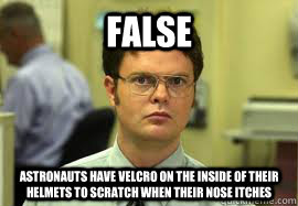 False Astronauts have velcro on the inside of their helmets to scratch when their nose itches  Dwight False