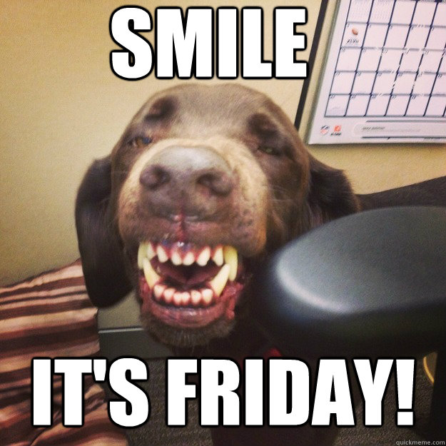 smile it's friday! - smile it's friday!  Smiling Lab