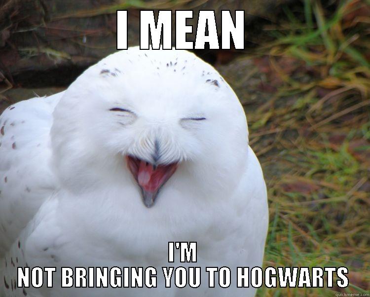 Happy Owl Hogwarts - I MEAN I'M NOT BRINGING YOU TO HOGWARTS Misc
