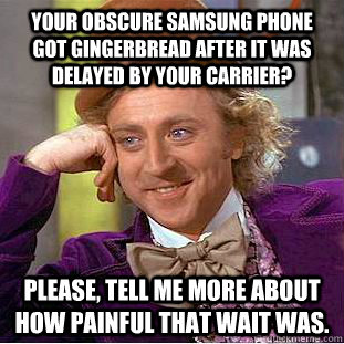 Your obscure Samsung phone got Gingerbread after it was delayed by your carrier? Please, tell me more about how painful that wait was.  Creepy Wonka