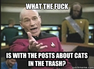 what the fuck is with the posts about cats in the trash?  Annoyed picard about shitty watercolor and karmanaut