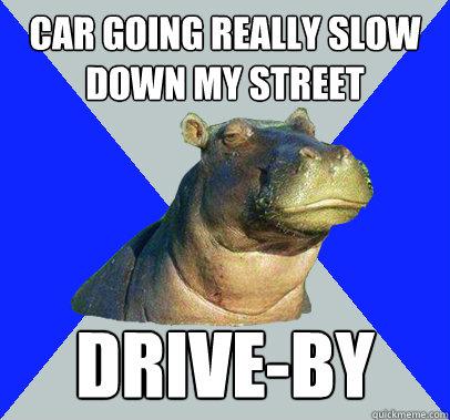 car going really slow down my street Drive-By  Skeptical Hippo