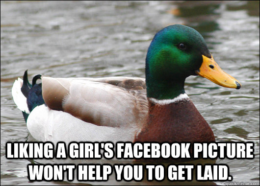  Liking a girl's facebook picture won't help you to get laid.  Actual Advice Mallard