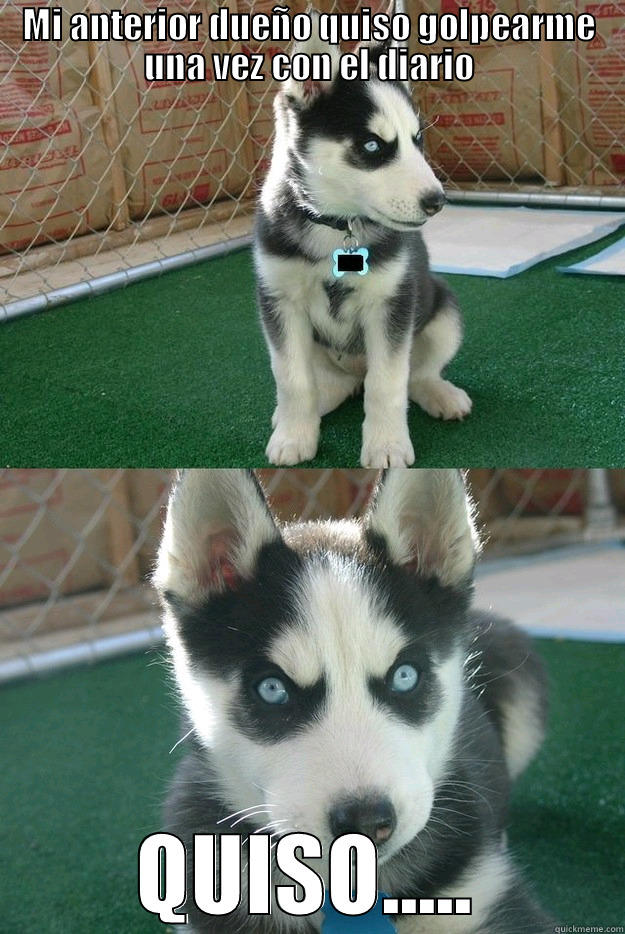 MI ANTERIOR DUEÑO QUISO GOLPEARME UNA VEZ CON EL DIARIO QUISO..... Insanity puppy