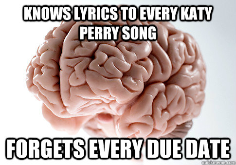 knows lyrics to every katy perry song forgets every due date  Scumbag Brain