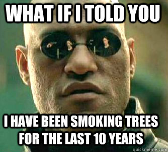 what if i told you I have been smoking trees for the last 10 years  Matrix Morpheus