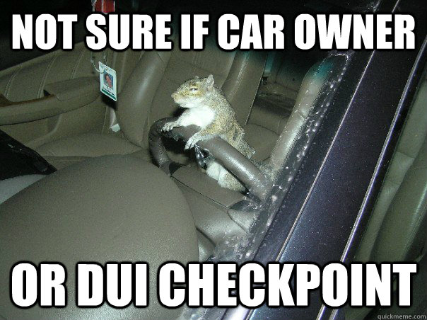 Not sure if car owner Or DUI checkpoint - Not sure if car owner Or DUI checkpoint  Fry Squirrel
