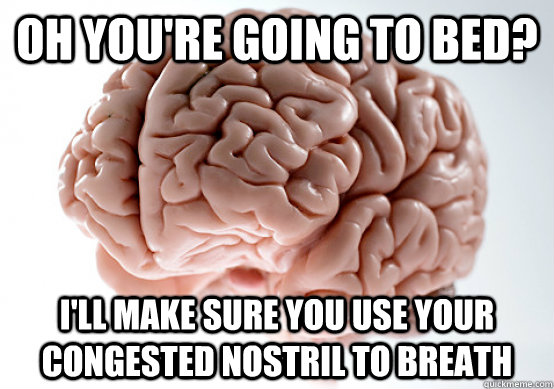 Oh you're going to bed? I'll make sure you use your congested nostril to breath  - Oh you're going to bed? I'll make sure you use your congested nostril to breath   Scumbag brain on life