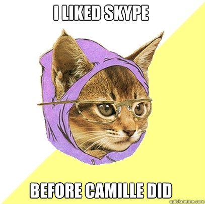 I liked skype before camille did  Hipster Kitty