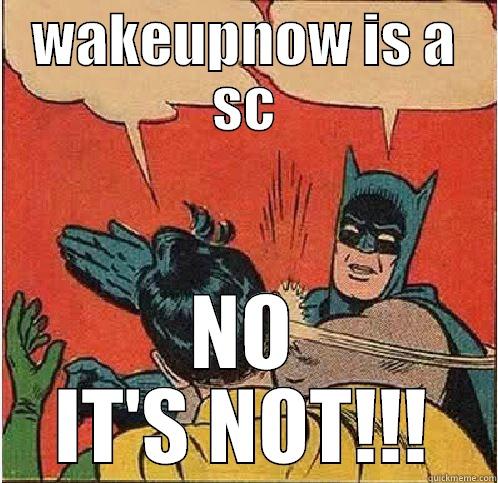 WAKEUPNOW IS A SC NO IT'S NOT!!! Batman Slapping Robin