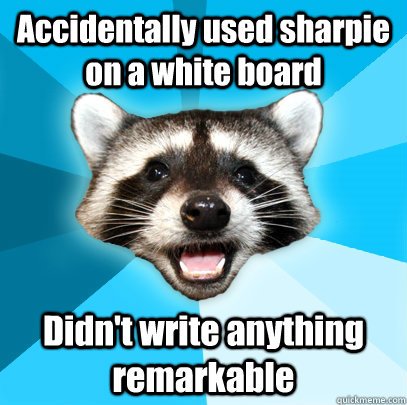 Accidentally used sharpie on a white board Didn't write anything remarkable  Lame Pun Coon