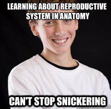 Learning about reproductive
 system in anatomy Can't stop snickering  High School Freshman