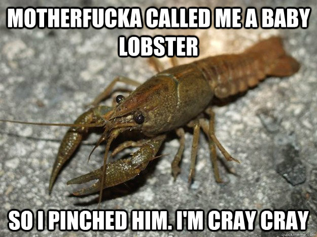 Motherfucka called me a baby lobster So i pinched him. I'm cray cray  that fish cray