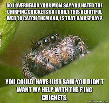 So I overheard your mom say you hated the chirping crickets so i built this beautiful web to catch them and, is that hairspray? You could  have just said you didn't want my help with the f'ing crickets.  Misunderstood Spider