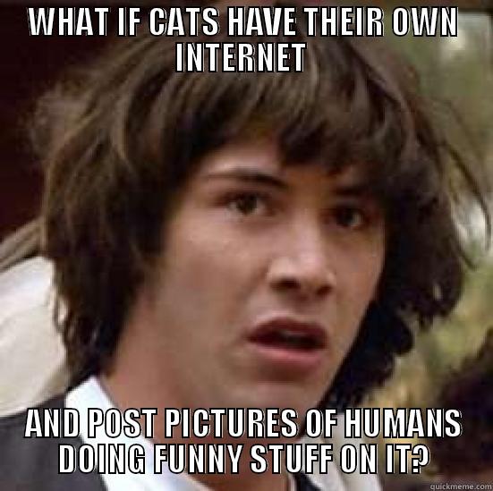 WHAT IF CATS HAVE THEIR OWN INTERNET  AND POST PICTURES OF HUMANS DOING FUNNY STUFF ON IT? conspiracy keanu