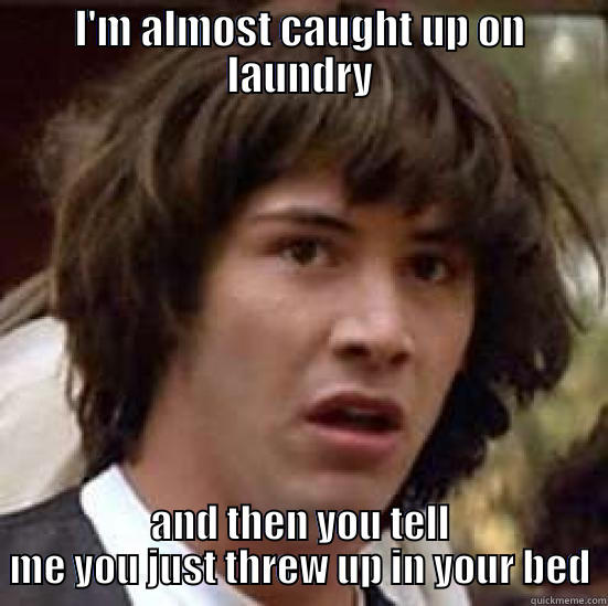 I'M ALMOST CAUGHT UP ON LAUNDRY AND THEN YOU TELL ME YOU JUST THREW UP IN YOUR BED conspiracy keanu