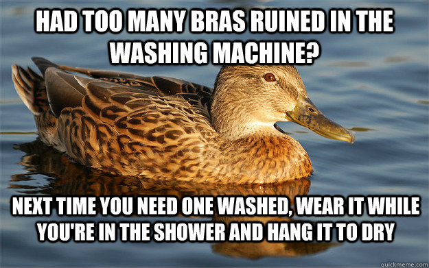 Had too many bras ruined in the washing machine? Next time you need one washed, wear it while you're in the shower and hang it to dry - Had too many bras ruined in the washing machine? Next time you need one washed, wear it while you're in the shower and hang it to dry  Actual Female Advice Mallard