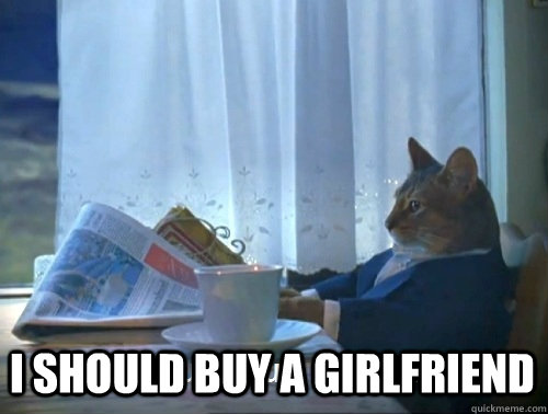  I SHOULD BUY A GIRLFRIEND -  I SHOULD BUY A GIRLFRIEND  Rich cat is rich