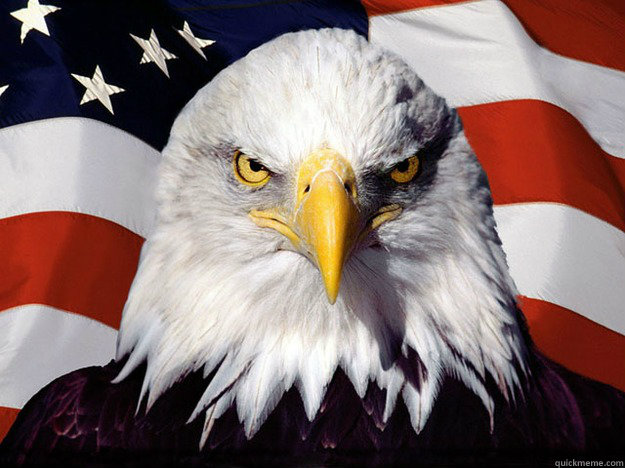    Patriotic Eagle