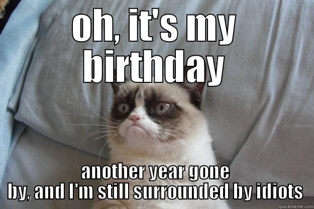 OH, IT'S MY BIRTHDAY ANOTHER YEAR GONE BY, AND I'M STILL SURROUNDED BY IDIOTS Grumpy Cat