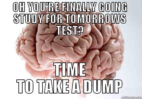OH YOU'RE FINALLY GOING STUDY FOR TOMORROWS TEST? TIME TO TAKE A DUMP Scumbag Brain