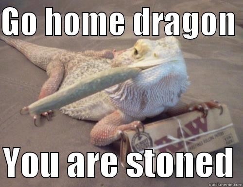 GO HOME DRAGON   YOU ARE STONED Misc