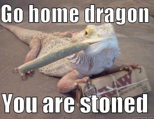 STONER DRAGON - GO HOME DRAGON   YOU ARE STONED Misc