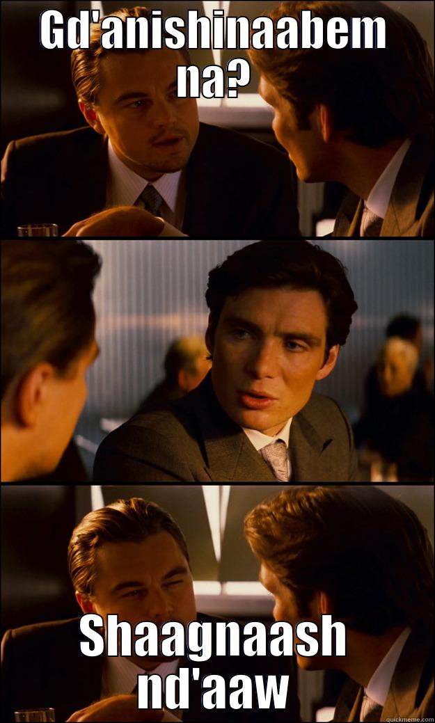 GD'ANISHINAABEM NA? SHAAGNAASH ND'AAW Inception