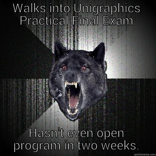 WALKS INTO UNIGRAPHICS PRACTICAL FINAL EXAM HASN'T EVEN OPEN PROGRAM IN TWO WEEKS. Insanity Wolf
