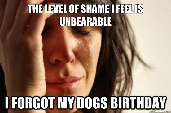 The level of shame I feel is unbearable  I forgot my dogs birthday  First World Problems
