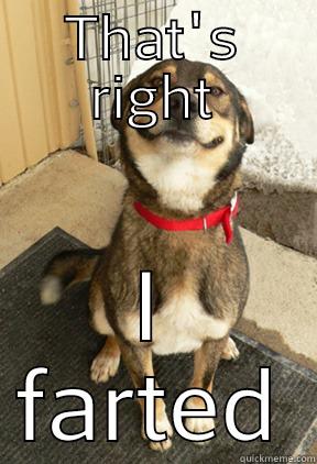 THAT'S RIGHT I FARTED Good Dog Greg