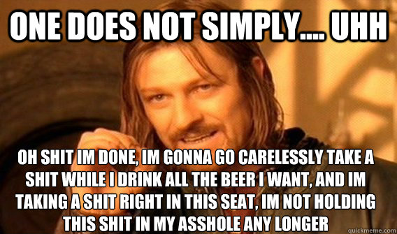 ONE DOES NOT SIMPLY.... UHH OH SHIT IM DONE, IM GONNA GO CARELESSLY TAKE A SHIT WHILE I DRINK ALL THE BEER I WANT, AND IM TAKING A SHIT RIGHT IN THIS SEAT, IM NOT HOLDING THIS SHIT IN MY ASSHOLE ANY LONGER  One Does Not Simply