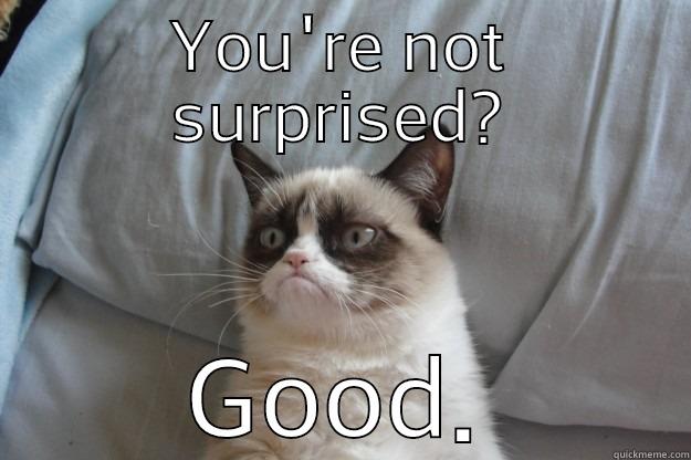 Surprised? I hope not! - YOU'RE NOT SURPRISED? GOOD. Grumpy Cat