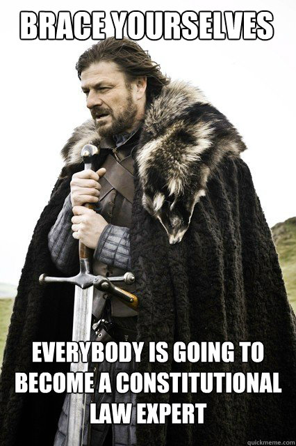 Brace Yourselves Everybody is going to become a constitutional law expert - Brace Yourselves Everybody is going to become a constitutional law expert  Boromir Relationship