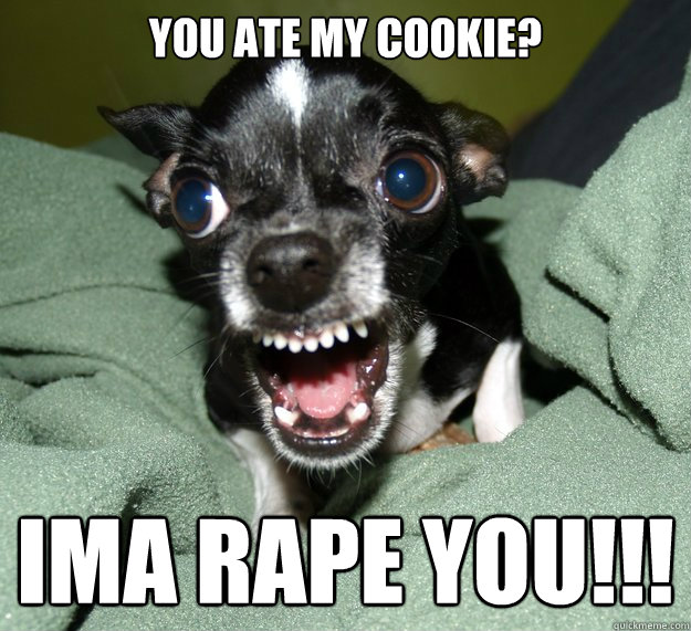 You ate my cookie? IMA RAPE YOU!!!  Chihuahua Logic