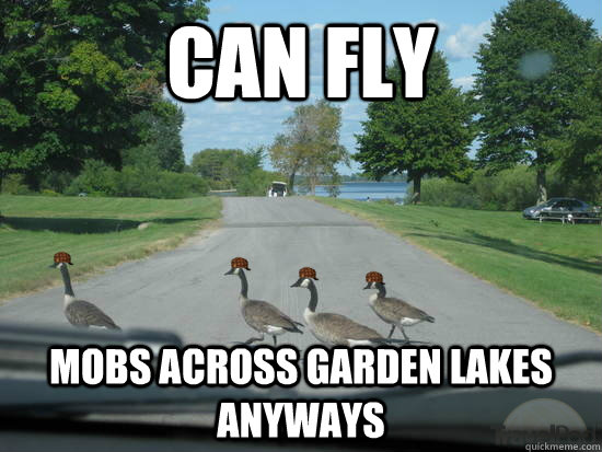 Can fly mobs across garden lakes anyways  Scumbag Geese